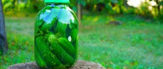 6 ways to prepare crispy lightly salted cucumbers with cold brine