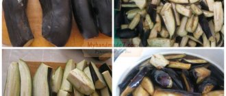 Eggplants with tomatoes for the winter: delicious recipes with photos