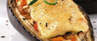Eggplant with cheese - the best recipes. How to properly and tasty cook eggplants with cheese. 
