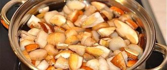 Porcini mushrooms for the winter recipes