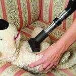Cleaning a soft toy with a vacuum cleaner