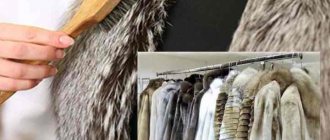 Cleaning a fur coat with starch