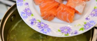 Finnish soup with salmon and cream: recipe with photos