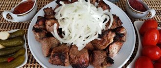 Photo of kebab with onions