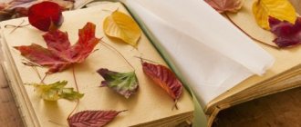 DIY leaf herbarium for kindergarten and school with photo