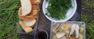 Ready-made fish soup with bread and herbs