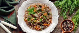 Buckwheat with champignons. Recipe with onions, carrots, chicken, cream in a slow cooker, oven 