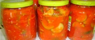 Zucchini in tomato sauce for the winter