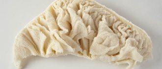 how to clean beef tripe at home