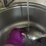 Как легко почистить рыбу от чешуи