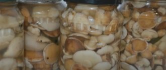 How to pickle butter in jars for the winter - simple recipes