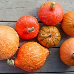 How to peel a pumpkin for a craft