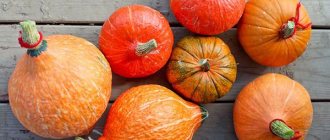 How to peel a pumpkin for a craft