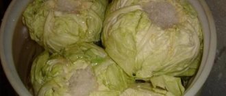 How to properly store cabbage in the refrigerator. How long does cabbage last in the refrigerator? 