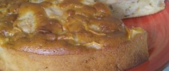 Как приготовить пирог с яблоками на кефире по пошаговому рецепту с фото