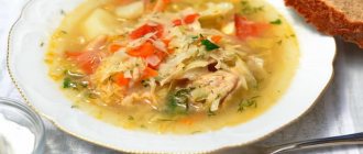 How to cook cabbage soup in a slow cooker according to a step-by-step recipe with photos