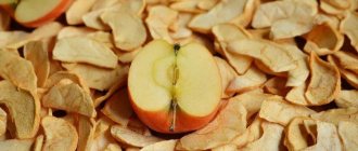 Как сушить яблоки и другие продукты в аэрогриле: 5 лучших пошаговых варианта