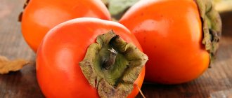 how to choose persimmon