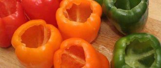 How to freeze peppers for the winter for stuffing: instructions for preparing a tasty and healthy preparation