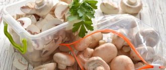 How to freeze fresh champignons in the freezer, cut and whole, for the winter