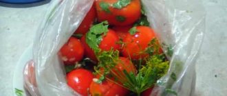 Classic recipe for delicious tomatoes in a bag in 5 minutes