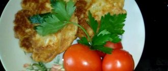 Albanian chicken fillet cutlets, finely grated