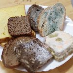 Pieces of moldy bread