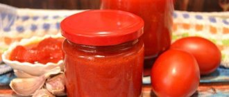 Red pepper lecho photo recipe