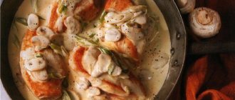 The best recipes for chicken fillet in creamy sauce. How to properly cook chicken fillet in creamy sauce in a frying pan and in the oven 