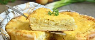 Onion pie. Classic French recipes, aspic, with cheese 