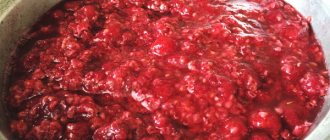 Raspberry wine at home. Simple recipes for jam with sugar, vodka glove 