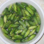Lightly salted cucumbers - 7 quick recipes with garlic and herbs, stage 3