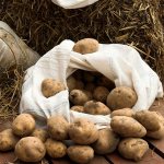 Методы хранения картофеля в домашних условиях