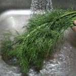 wash greens before freezing
