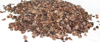 Pillow filling: buckwheat husk