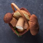 Обработка грибов