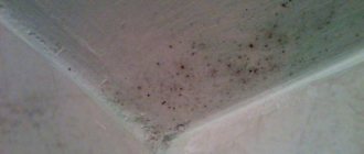 mold in the bathroom on the ceiling