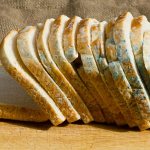 Why does bread quickly become moldy?