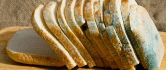 Почему хлеб быстро плеснивеет