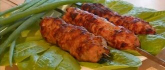 Step-by-step recipe for making lula kebab from minced meat on the grill