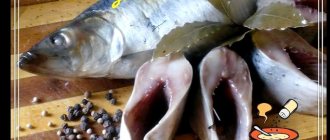 Spicy salting of herring at home - give brine