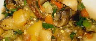 Recipe for vegetable eggplant stew