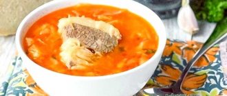 Recipe for delicious cabbage soup made from beef and fresh cabbage - recipe with photo