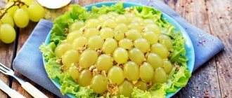 Tiffany salad with grapes and chicken. Recipes for the festive table with cheese, mushrooms, nuts 