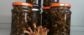 The most delicious recipe for pickled mushrooms at home