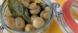 Champignons in a slow cooker: recipes
