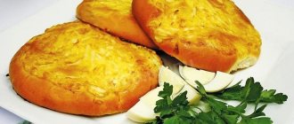 Shangi with cheese: recipe with photo