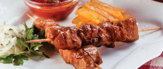 Duck kebab: 5 proven recipes to replace pork and beef
