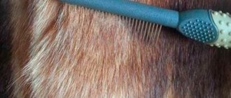 Brush for cleaning fur coats
