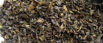 Dry fireweed tea